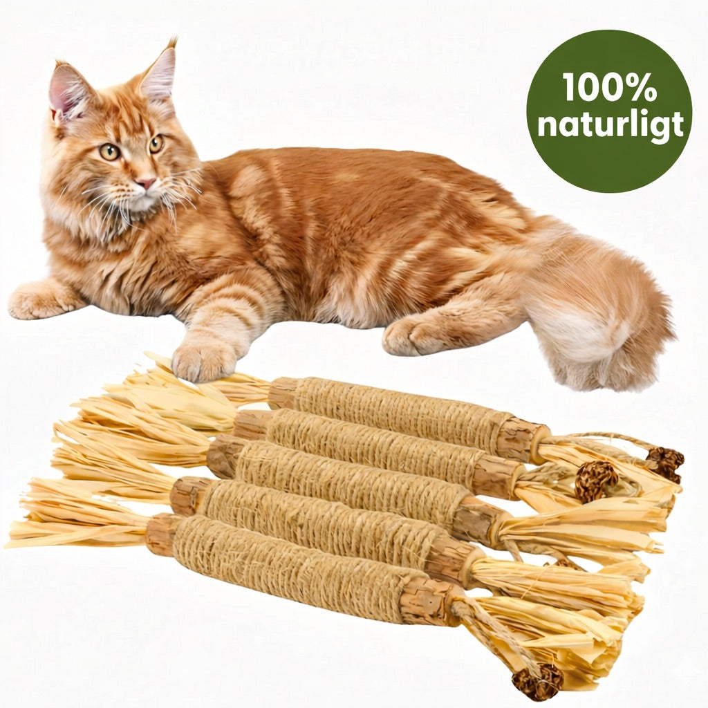 Rena tänder. Mindre stress.