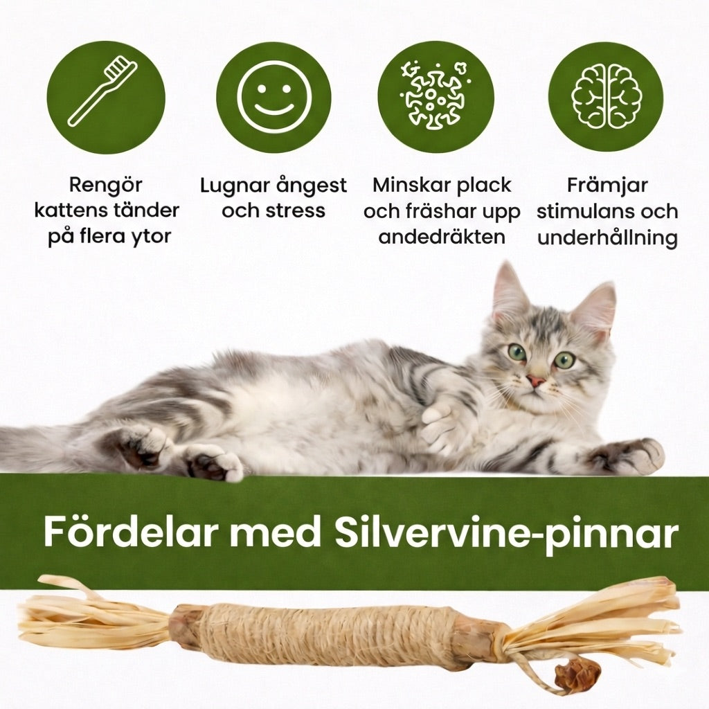 Rena tänder. Mindre stress.