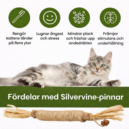 Rena tänder. Mindre stress.